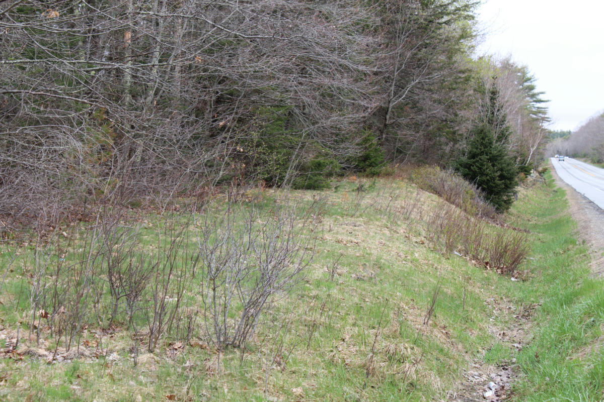 MP 1 LOT 2 AUGUSTA ROAD, MORRILL, ME 04952, photo 1 of 11