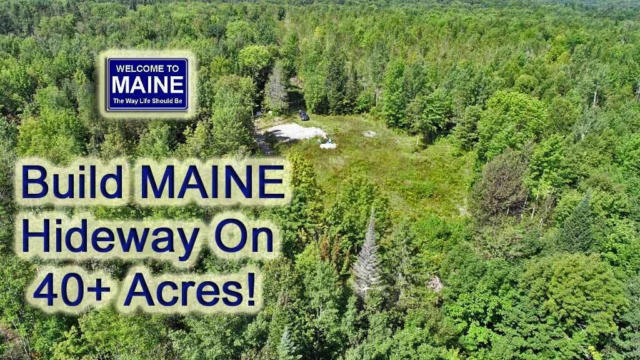 LOT 11 OFF DREWS MILL ROAD, LINNEUS, ME 04730 - Image 1